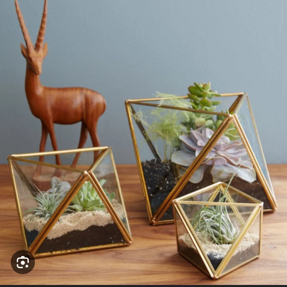West Elm Faceted Terrarium Decorative Object